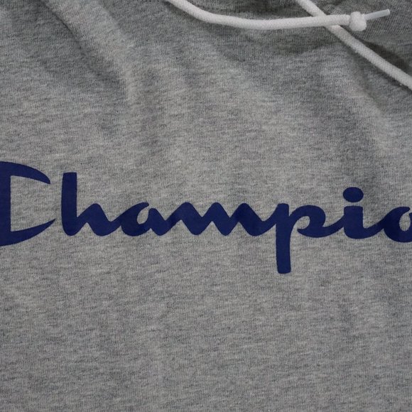 Champion Men's Fleece PowerBlend Logo Pullover Hoodie Grey Medium - Picture 3 of 6